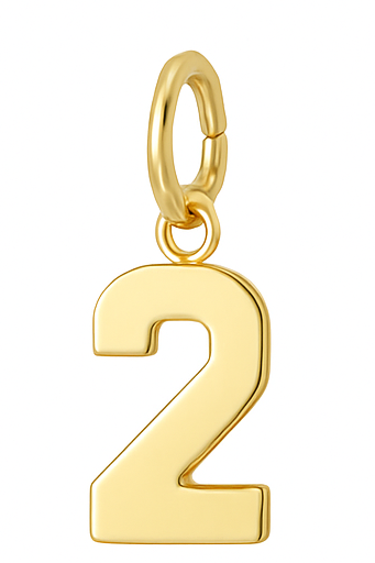Drip Digits - Gold Number Pendant