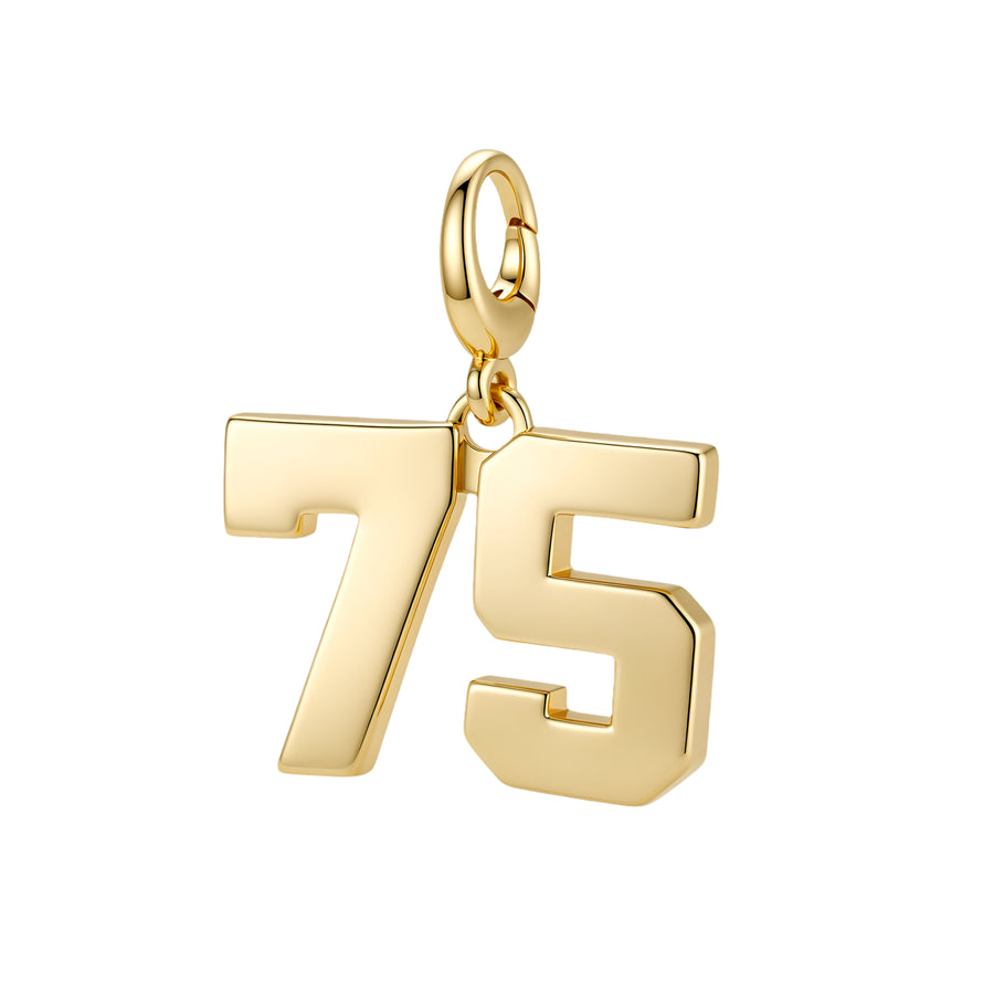Drip Digits | Gold Number Charm Pendant with Clasp